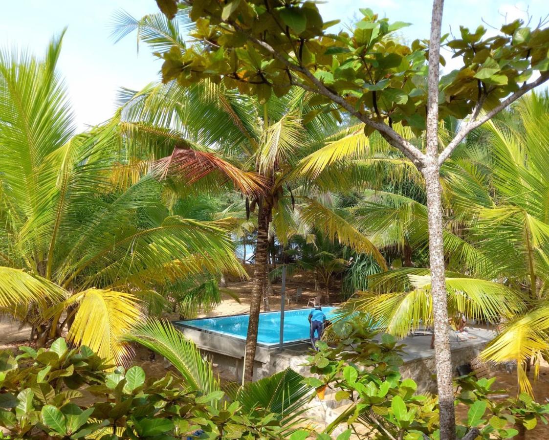 Tropical Garden Apartment Tangalle Exterior photo